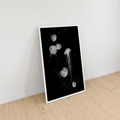Adrian Berkowitz | Jellyfish