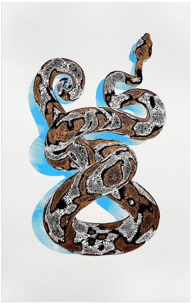 Snake screenprint - Chris Keegan